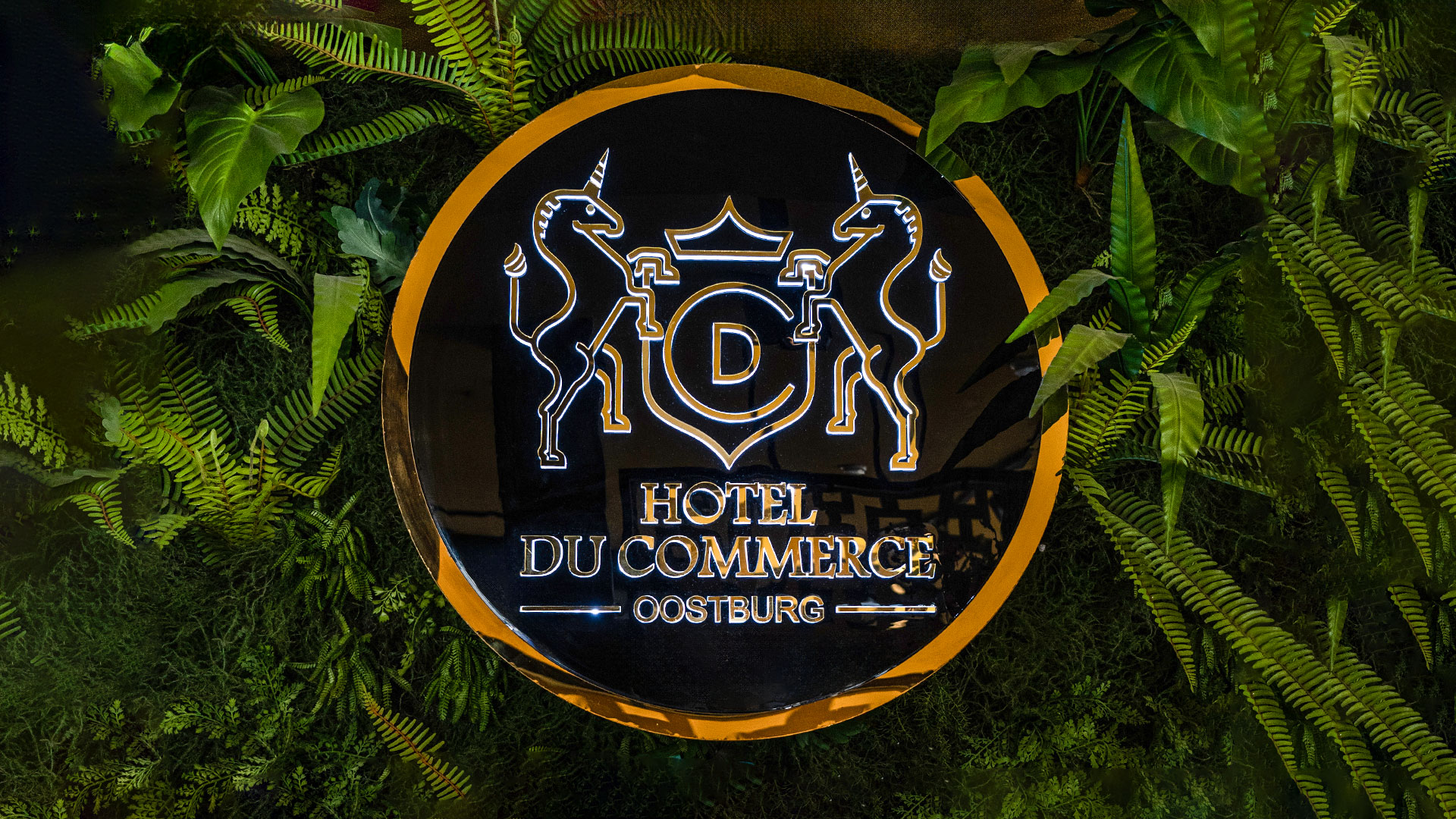 LOGO-SUMMER
